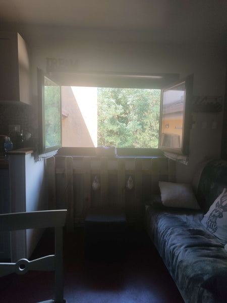 Elisabetta Franchi arancione testpaola