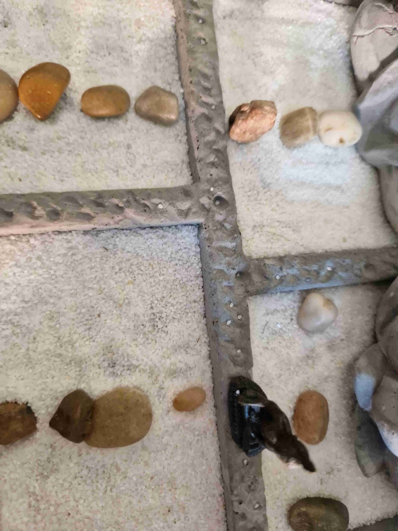 francescoprova -  - new